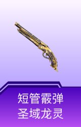 短管霰弹-圣域龙灵