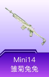 Mini14-雏菊兔兔