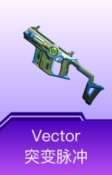 Vector-突变脉冲