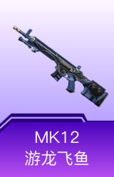 MK12-游龙飞鱼