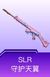 SLR-守护天翼