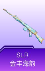 SLR-金丰海韵