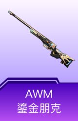 AWM-鎏金朋克
