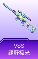VSS-绿野极光