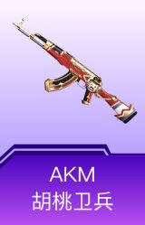 AKM-胡桃卫兵