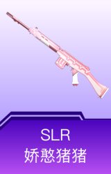 SLR-娇憨猪猪