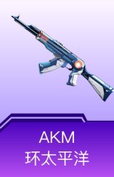 AKM-环太平洋