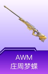 AWM-庄周梦蝶