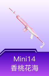 Mini14-香桃花海