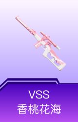 VSS-香桃花海
