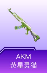AKM-荧星灵猫