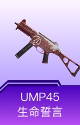 UMP45-生命誓言