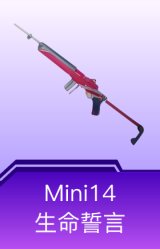 Mini14-生命誓言