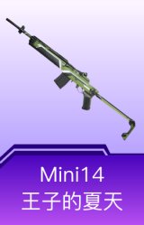 Mini14-王子的夏天