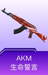 AKM-生命誓言