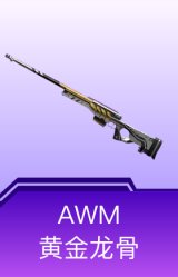 AWM-黄金龙骨