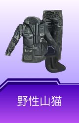 野性山猫