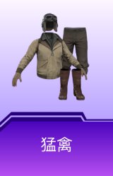 猛禽