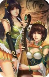 大乔小乔-并蒂芙蓉