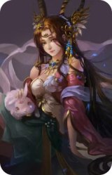 界貂蝉-月下弄兔