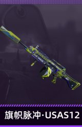 旗帜脉冲·USAS12