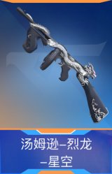 汤姆逊-烈龙-星空