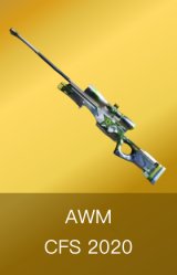 AWM-CFS 2020