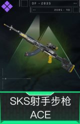 SKS射手步枪-ACE