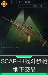 SCAR-H战斗步枪-地下交易