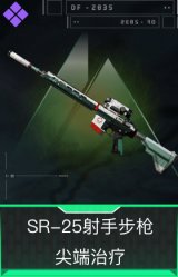 SR-25射手步枪-尖端治疗