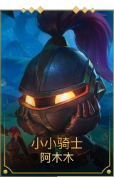 小小骑士