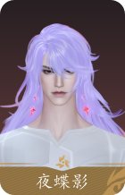 夜蝶影