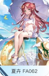 夏卉 FA062-桃金娘