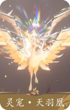 灵宠·天羽凰