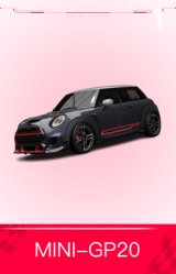 MINI-GP20