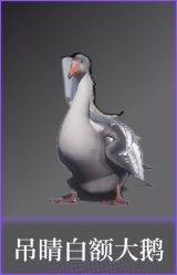 吊睛白额大鹅
