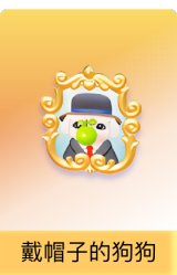 戴帽子的狗狗