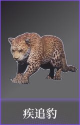 疾追豹