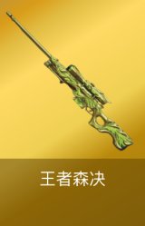 王者森决
