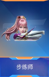 步练师
