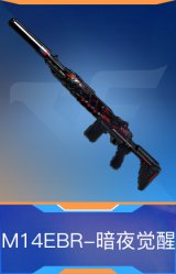 M14EBR-暗夜觉醒