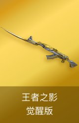 王者之影-觉醒版