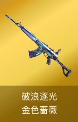 金色蔷薇-破浪逐光