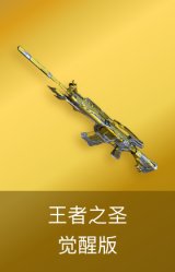 王者之圣-觉醒版