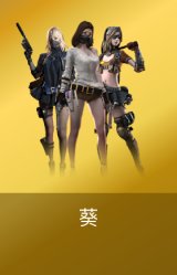 葵