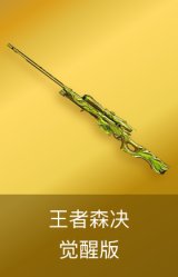王者森决-觉醒版