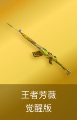 王者芳薇-觉醒版