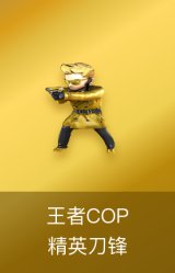 王者COP-精英刀锋