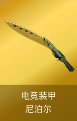 尼泊尔-电竞装甲