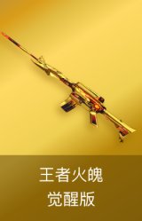 王者火魄-觉醒版